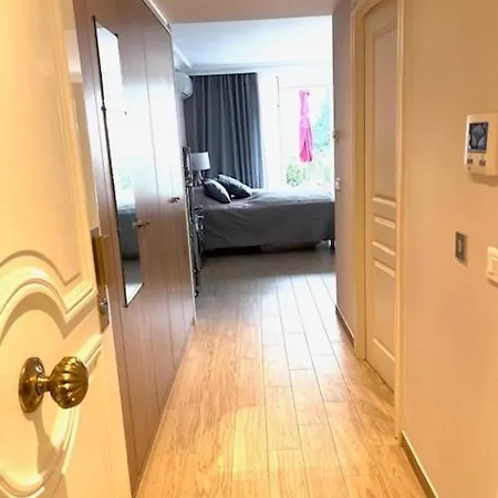 New - Cosy & In Palais Miramar Cannes